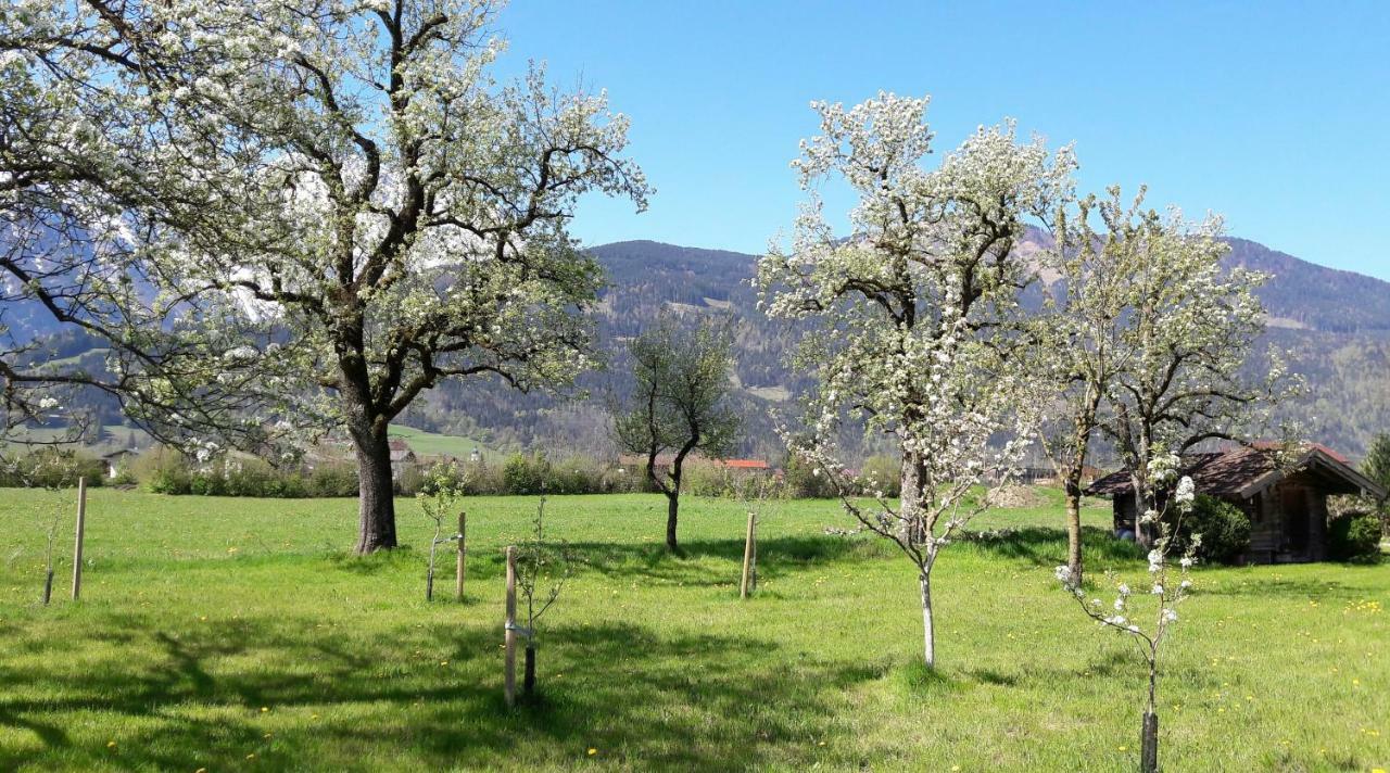 Ferienwohnung Alpenblick Кухль Экстерьер фото